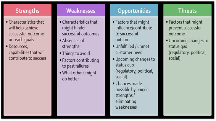 swot analysis of government department